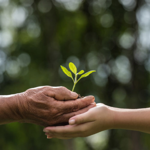 gedeeldeverantwoordelijkheid